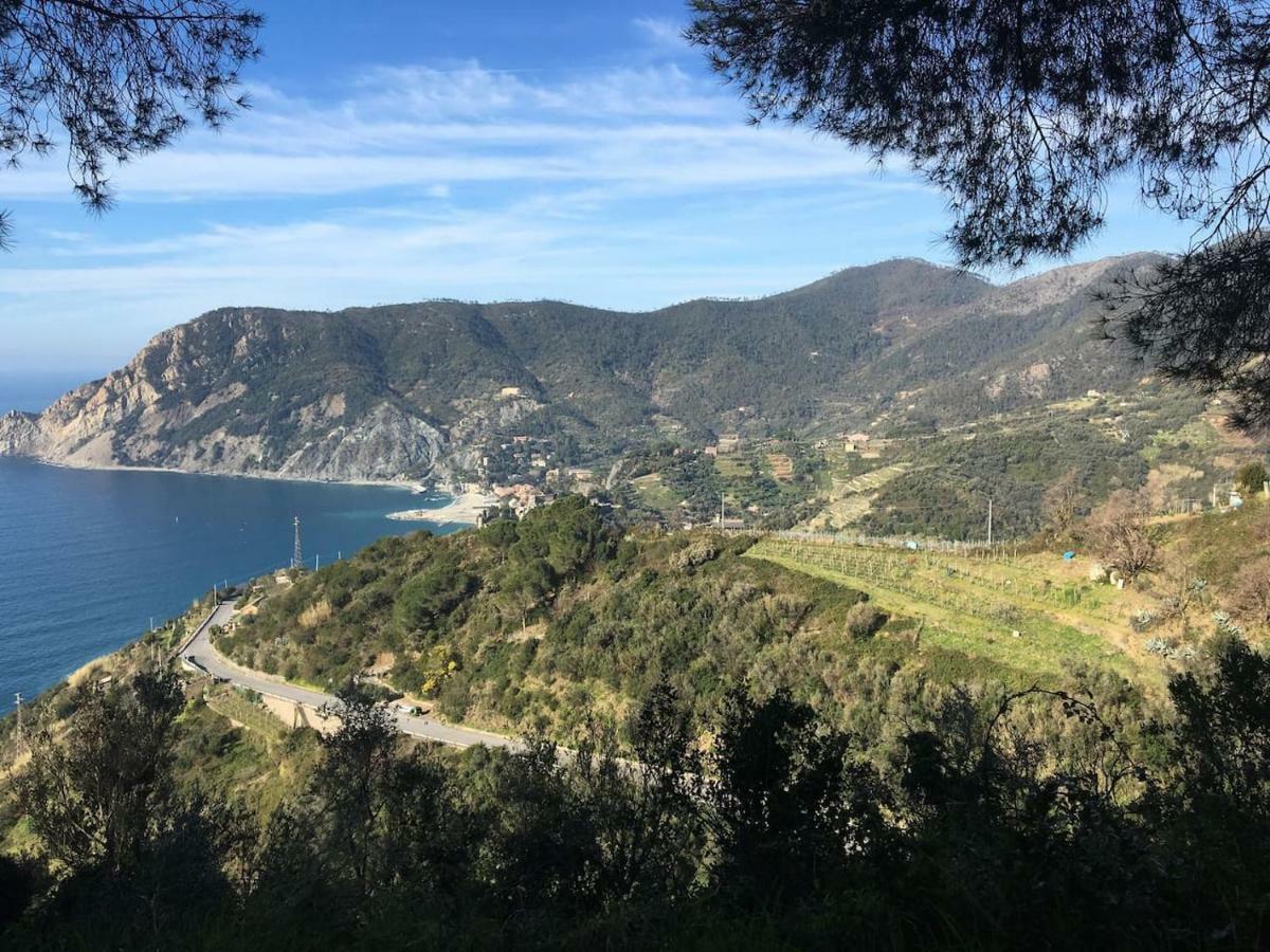 La Terrazza Di Monterosso Apartamento Monterosso al Mare Exterior foto