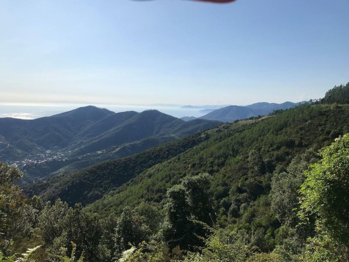 La Terrazza Di Monterosso Apartamento Monterosso al Mare Exterior foto